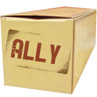 Be an Ally Now!